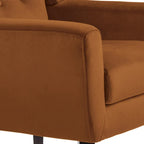Lot de 2 fauteuils de salon en velours avec accoudoirs