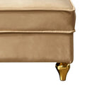 Chaise longue de rangement française élégante en velours avec un oreiller