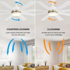 Ventilateur de plafond de 65 pouces à 8 pales noires avec lumière LED et télécommande