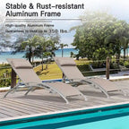 Fauteuil inclinable d'extérieur réglable en aluminium gris, lot de 2 chaises longues avec oreiller - N/A