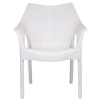 Chaises d'extérieur en résine plastique Cambridge (lot de 2)