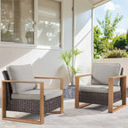Chaises de patio extérieures Chaise en osier - 2 pièces - Marron